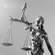 Responsabilità civile verso terzi e responsabilità professionale